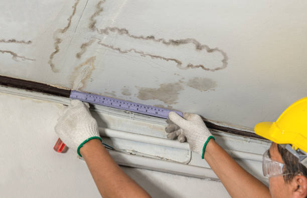 Reliable Water Damage contractor in Clinton, IL by Water Damage Irwin